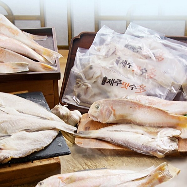 STAR PLANET SHOP,[더트롯쇼] 반팔 티셔츠 굿즈 3가지 색상(블루 / 오렌지 / 보라)