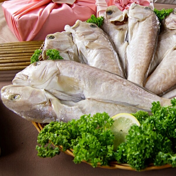 STAR PLANET SHOP,[더트롯쇼] 반팔 티셔츠 굿즈 3가지 색상(블루 / 오렌지 / 보라)