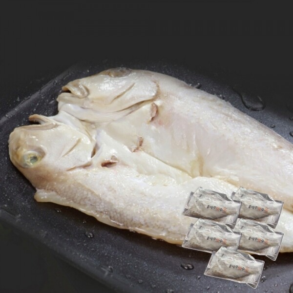 STAR PLANET SHOP,[더트롯쇼] 반팔 티셔츠 굿즈 3가지 색상(블루 / 오렌지 / 보라)