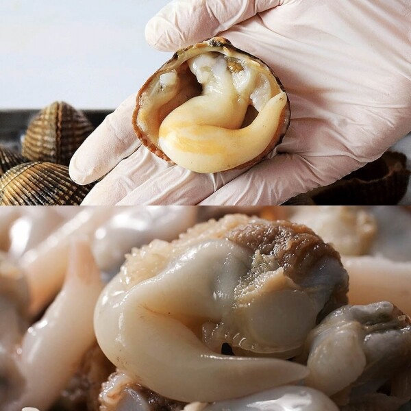 STAR PLANET SHOP,[더트롯쇼] 반팔 티셔츠 굿즈 3가지 색상(블루 / 오렌지 / 보라)