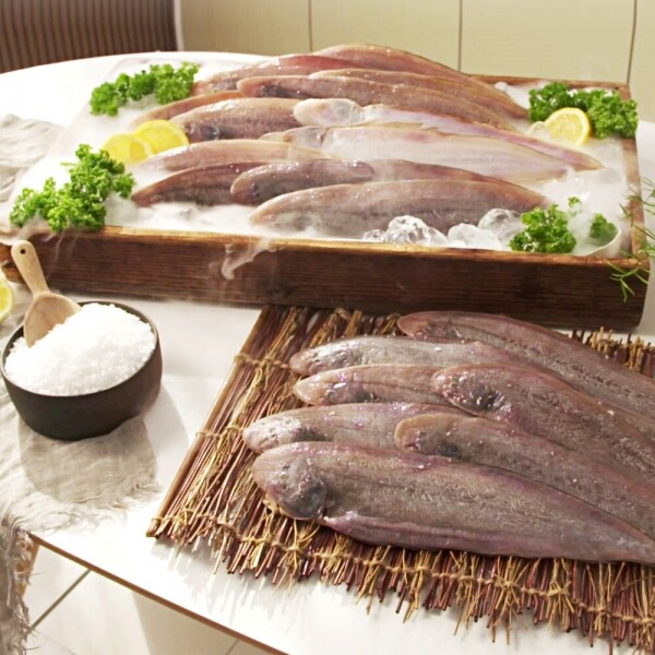 STAR PLANET SHOP,[더트롯쇼] 반팔 티셔츠 굿즈 3가지 색상(블루 / 오렌지 / 보라)