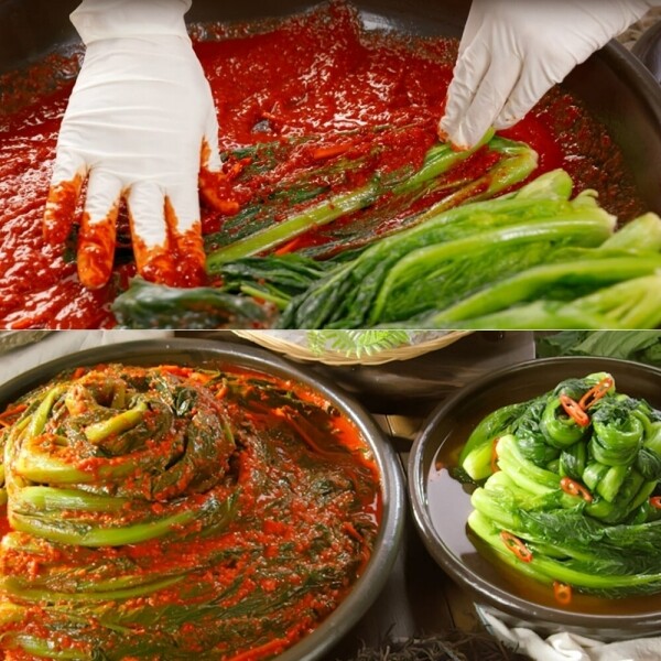 STAR PLANET SHOP,[더트롯쇼] 반팔 티셔츠 굿즈 3가지 색상(블루 / 오렌지 / 보라)