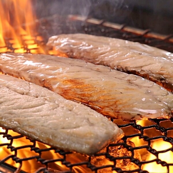 STAR PLANET SHOP,[더트롯쇼] 반팔 티셔츠 굿즈 3가지 색상(블루 / 오렌지 / 보라)