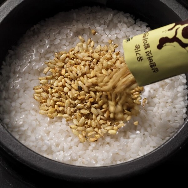 STAR PLANET SHOP,[더트롯쇼] 반팔 티셔츠 굿즈 3가지 색상(블루 / 오렌지 / 보라)