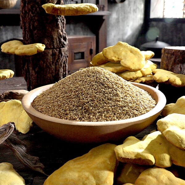 STAR PLANET SHOP,[더트롯쇼] 반팔 티셔츠 굿즈 3가지 색상(블루 / 오렌지 / 보라)